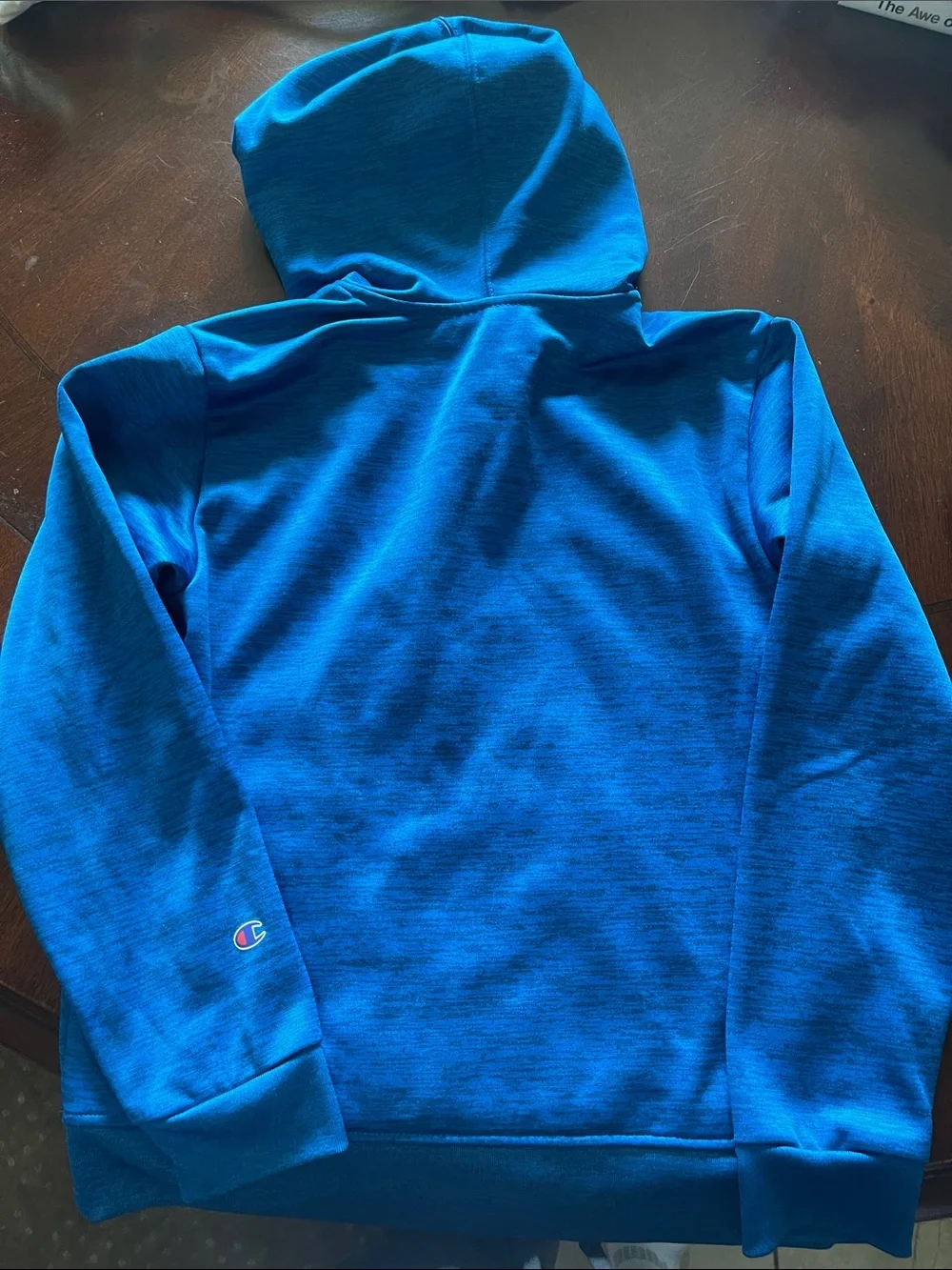Lot of 2 Boys Hurley & Champion Pullover Hoodies Size 10/12